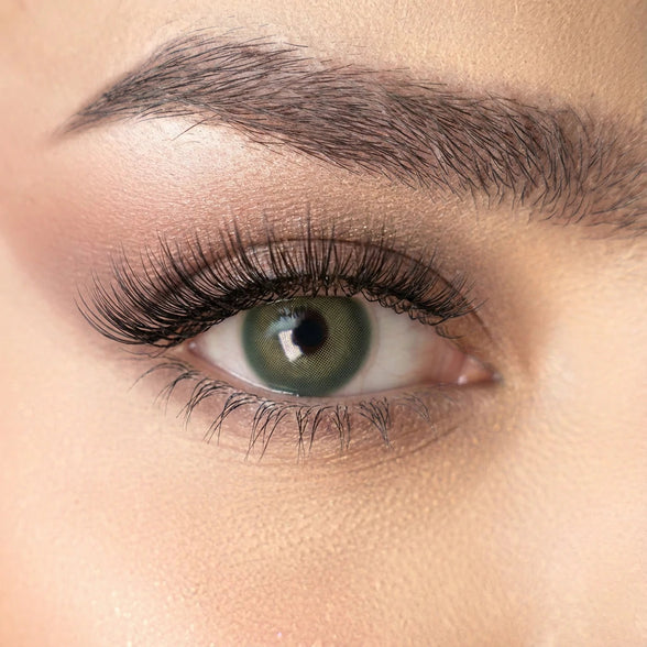 Sweet Tea Ray Lenses