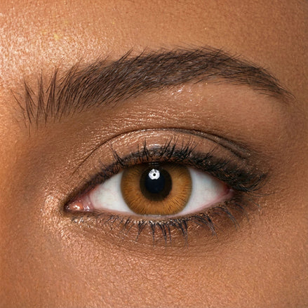 Terracotta Ray Lenses