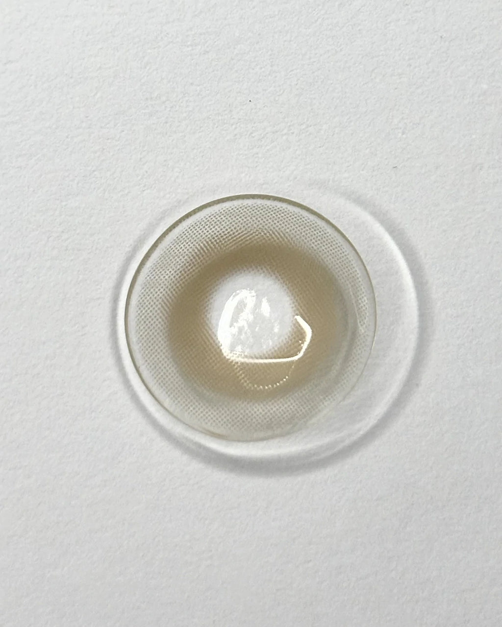 White Rose